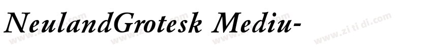 NeulandGrotesk Mediu字体转换